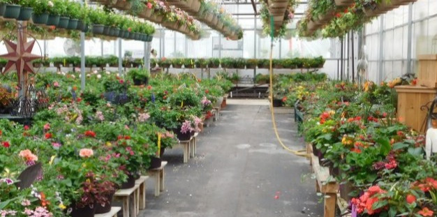 Alton Greenhouses & Gardening Centre  Image