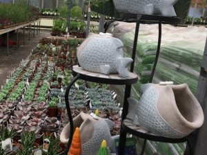 Alton Greenhouses & Gardening Centre Product